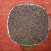 Finger Millet (Ragi)